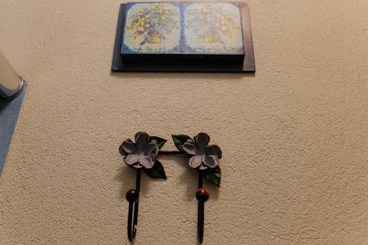 Hotel Pousada Chale Das Flores Sertãozinho Екстериор снимка